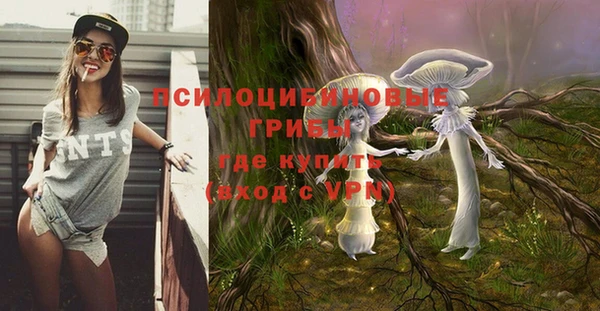ПСИЛОЦИБИНОВЫЕ ГРИБЫ Осташков