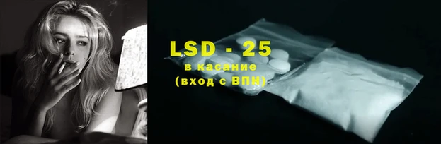 стафф Осинники