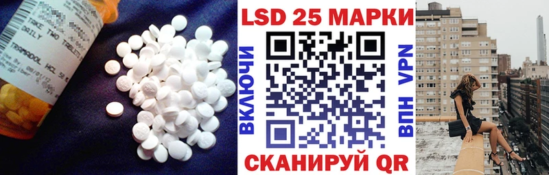 darknet наркотические препараты  Новый Оскол  LSD-25 экстази ecstasy  купить закладку 