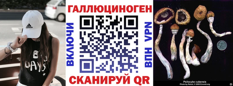 Псилоцибиновые грибы ЛСД  Новый Оскол 